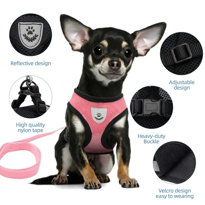 PawFree Adjustable Pet Harness