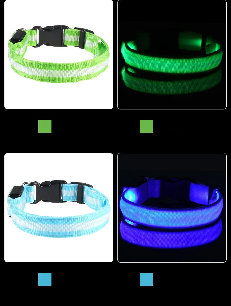 NightGlow Safety Dog Leash