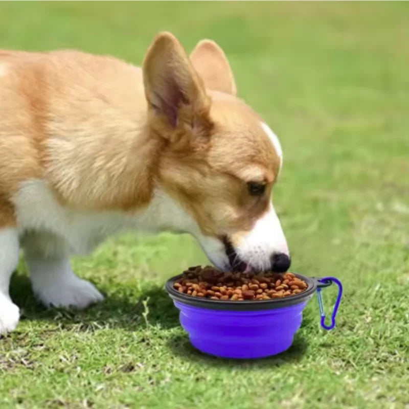 Pack And Go Pet Bowl