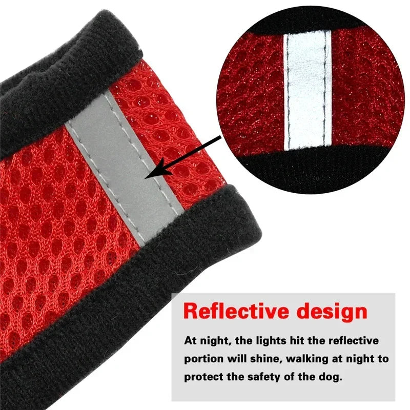 PawFree Adjustable Pet Harness