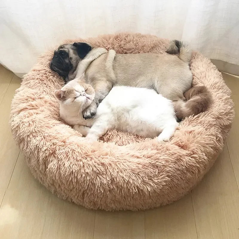Cloud Comfort Pet Bed