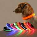 NightGlow Safety Dog Leash