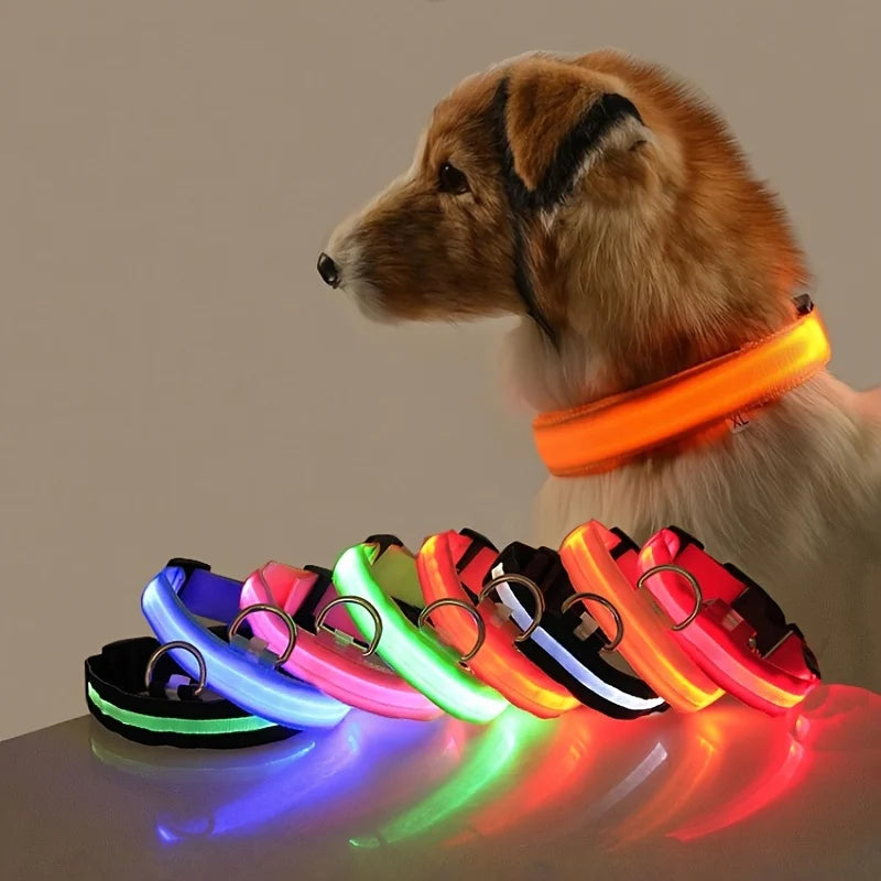 NightGlow Safety Dog Leash