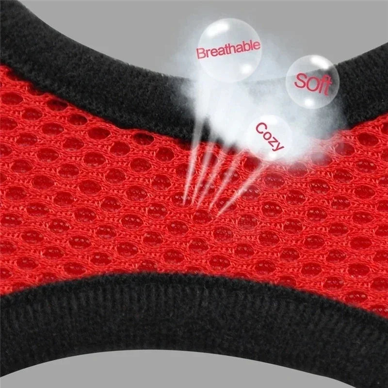 PawFree Adjustable Pet Harness