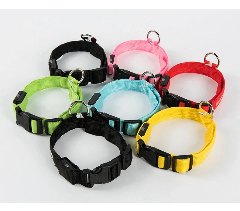 NightGlow Safety Dog Leash