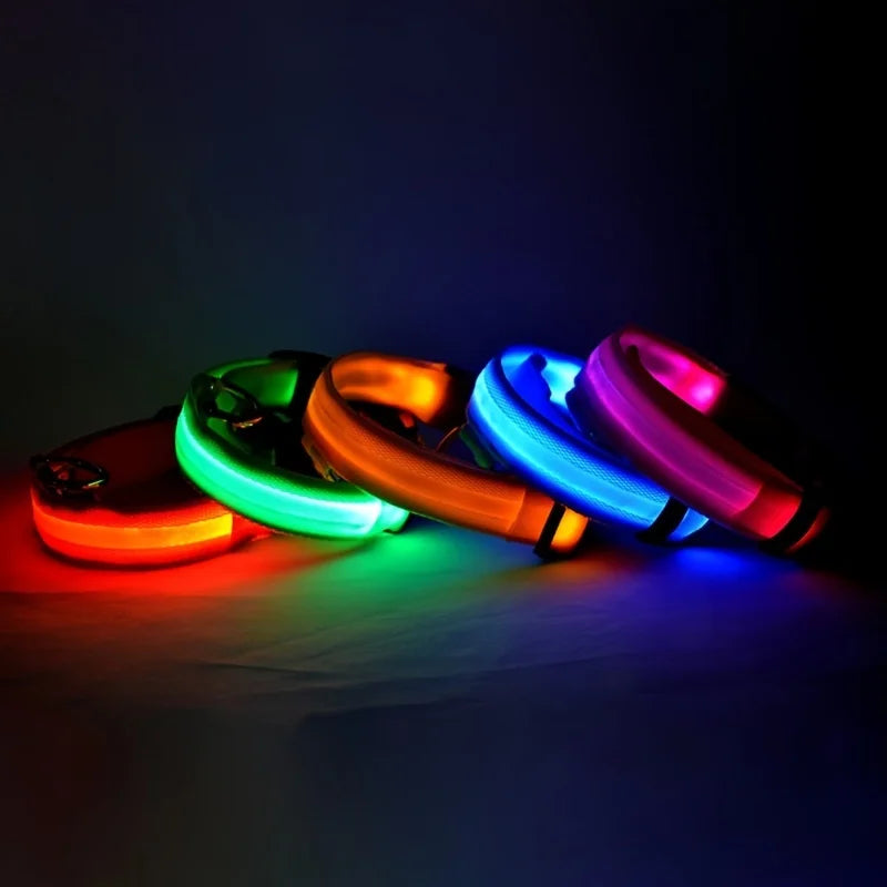 NightGlow Safety Dog Leash
