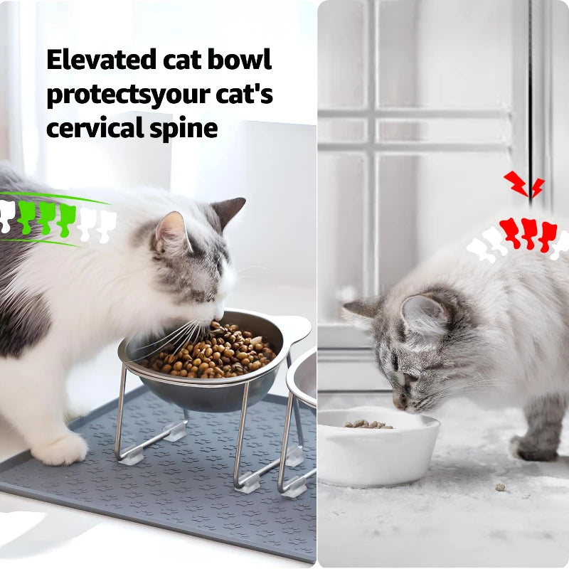 Elevated Comfort Pet Bowl