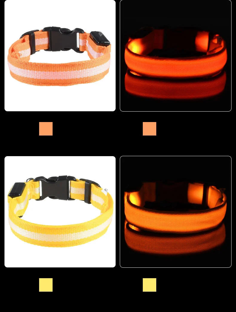 NightGlow Safety Dog Leash