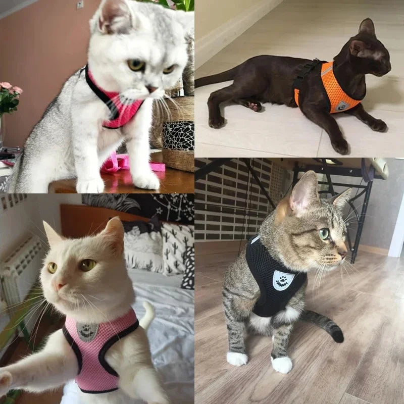 PawFree Adjustable Pet Harness