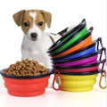 Pack And Go Pet Bowl