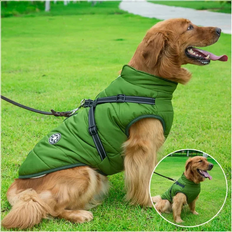 Winter Waterproof Dog Jacket Harness