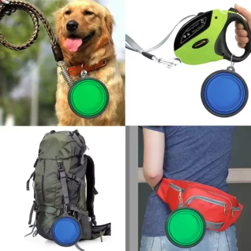 Pack And Go Pet Bowl