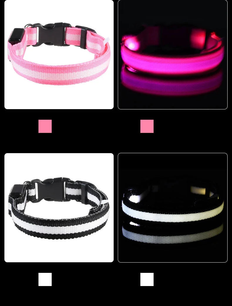 NightGlow Safety Dog Leash