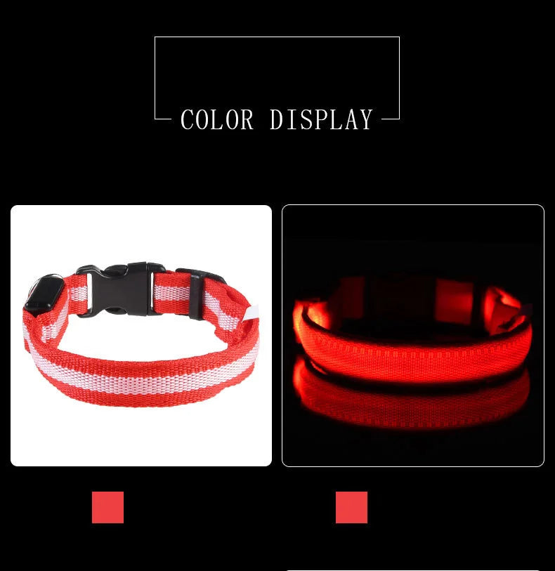 NightGlow Safety Dog Leash